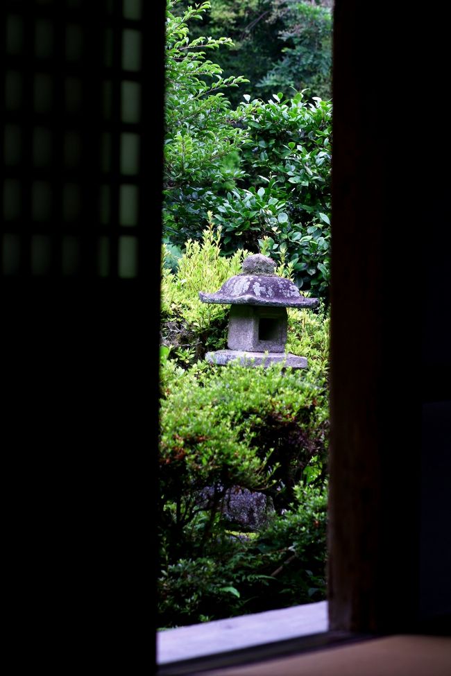 奥様がお出し下さった御茶を、美味しくすすった。<br />心も座らせて眺めてみた。