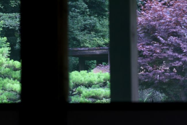小雨が降ったり、止んだりの繰り返し。