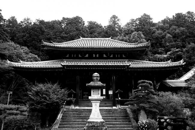 日が暮れる前に手を合わせに参りました。