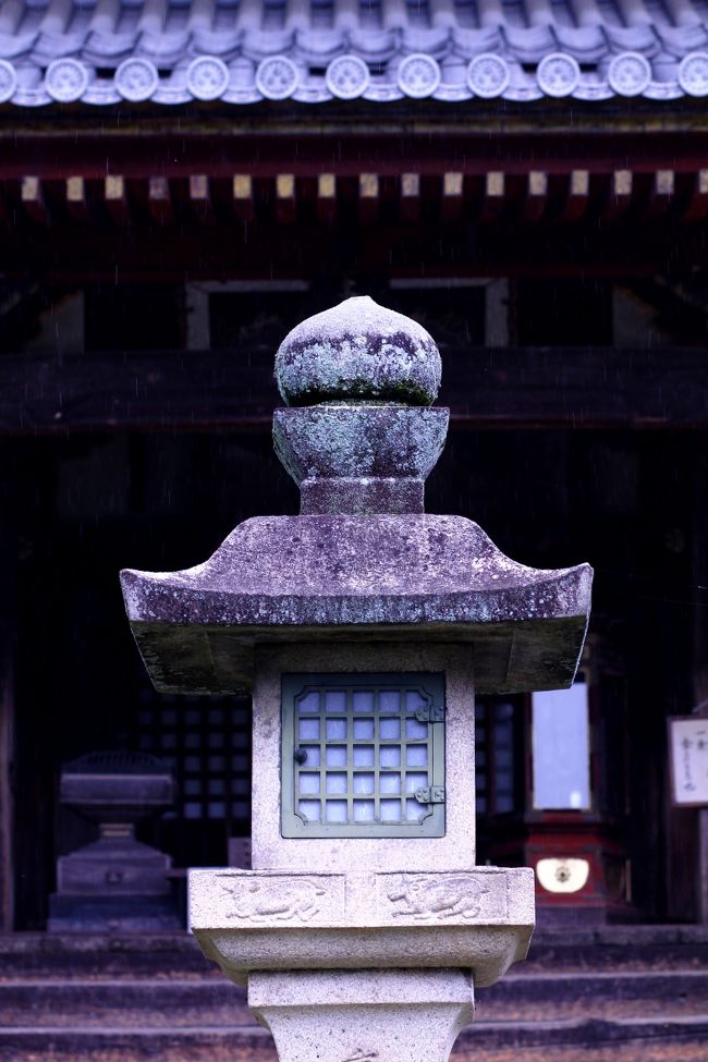 翌朝は御住職に同道させていただき、朝勤行めへ上げていたたけた。<br />朝は7時若干前からの御勤めで、御寺によっては夜明け頃からの御勤めもあるが、朝の弱い方にも充分な余裕をもって上がれると思います。