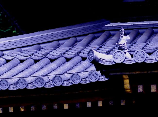 御寺の瓦波は眺めるだけで色んな想いが湧き出てくる。<br />天邪鬼だけかな？