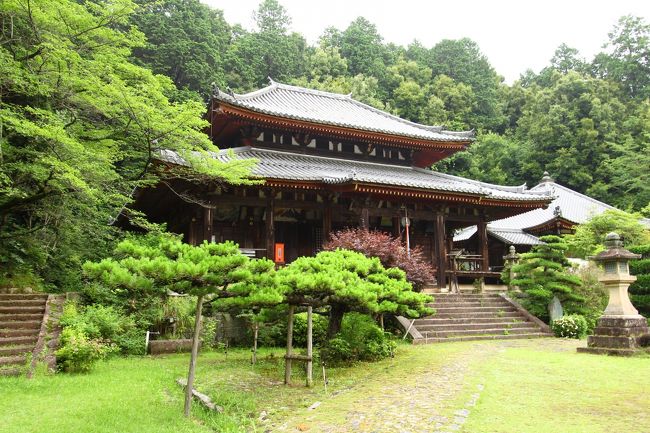 山林はもはや借景とは呼べず。<br />天さんには後背に見える。