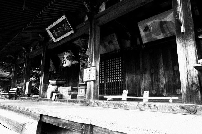 旅を共にしたメンバーは「吉本」さん拝見して笑いながら帰名したかな？等とふっと思った。<br />旅はオリジナルスタイルがあって良いと思う。<br />楽しみ方も色々であり、こちらへは楽しみに来た訳ではない天さんだが、色んな意味の旅であり、来て良かったと想う。