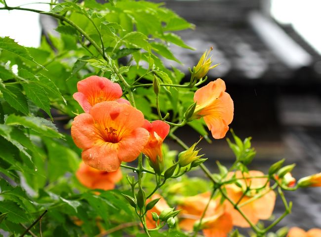 緑のパレット空間に充分な存在感でした。