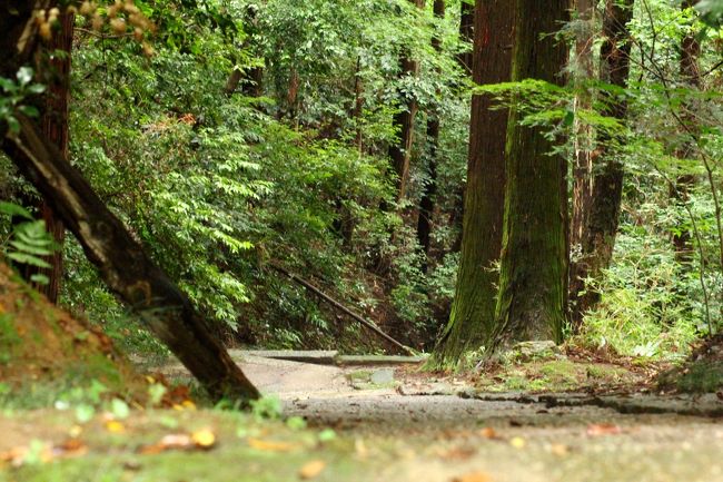 山門脇にはもう一つの道。<br />この先には「奥の院(不動尊)」がおあせます。