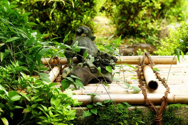 こちらの視線と合い遊んでもらった。