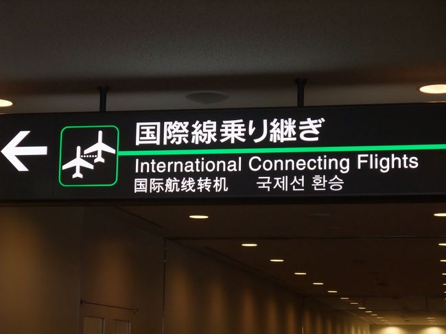 成田到着後、国際線乗り継ぎルートへ。このルートは初体験です。