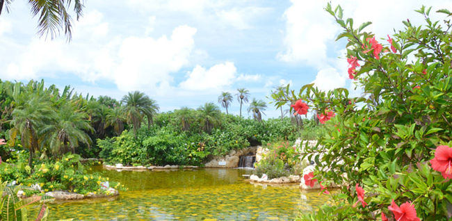 台風なので室内遊びということで<br />「シギラ黄金温泉」へ！<br /><br />こちらはジャングルプールなる男女兼用のプールと男女別の温泉がありました！<br /><br />いや〜、正直値段は高いし、温泉ほぼないし、プールもプール？？って感じでした…<br /><br />こりゃ地元の健康ランドのが100倍いいです！