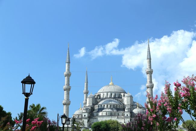 念願叶ってトルコ旅行 ② イスタンブールの象徴「ブルーモスク」の美
