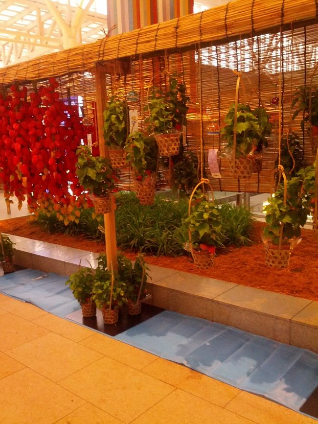 七夕が　ほおずき市に変わっていました。