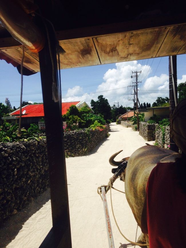ランチの後は水牛車へ<br />全てチケットがあるけど、時間を予約する必要があります。待つ間は店内のお土産屋さんを覗いてました。