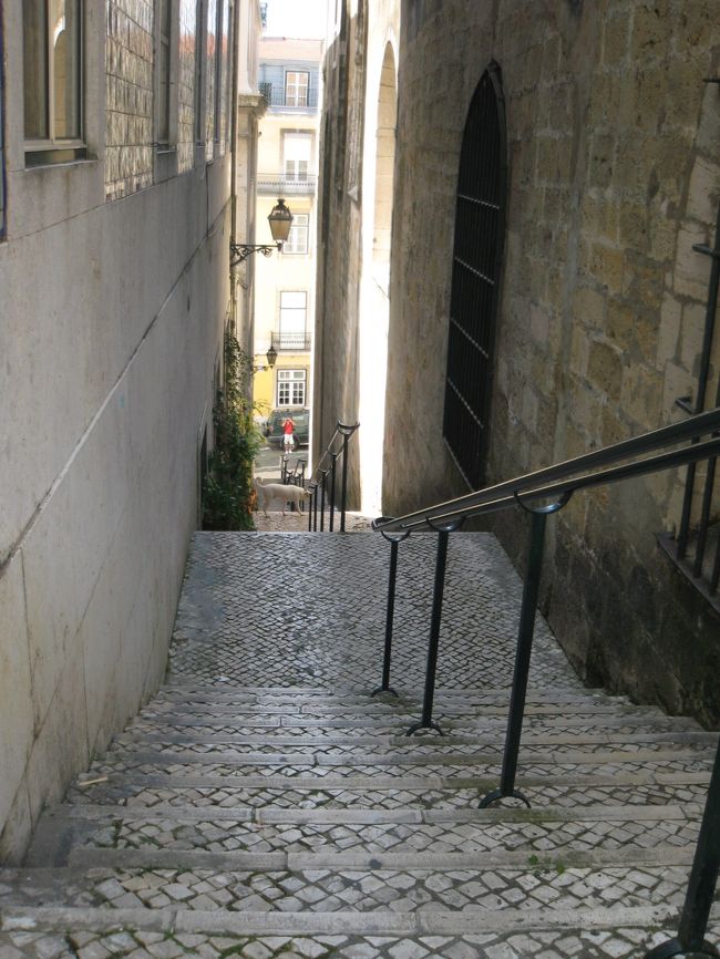 1回下界に降りて、Alfama方面へ。こういう階段、いいね(生活する上では大変そうだけど)。と、思ったら、下にも同じことを考えた人がカメラを構えています。