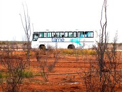 【恋焦がれてガラパゴス】

空港のあるバトラ島から隣の島（サンタクルス島）に渡るには海を越える必要があります。バスがその波止場まで乗客を運んでくれます。約１５分。