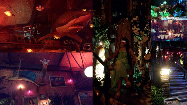 店内はとっても不思議な空間で海のような<br />島のような。<br />薄暗いのでキレイに写真が撮れなかった。<br /><br />階段の途中で椅子を発見！<br />これは座れって事でしょと座ってパチリ。<br />なんか部族の王様の椅子みたいな・・(笑)<br /><br />時間は11時半。<br />こんな時間にお肉食べてお腹一杯でいいの〜？<br />帰ったらソッコー歯磨いて就寝！<br />