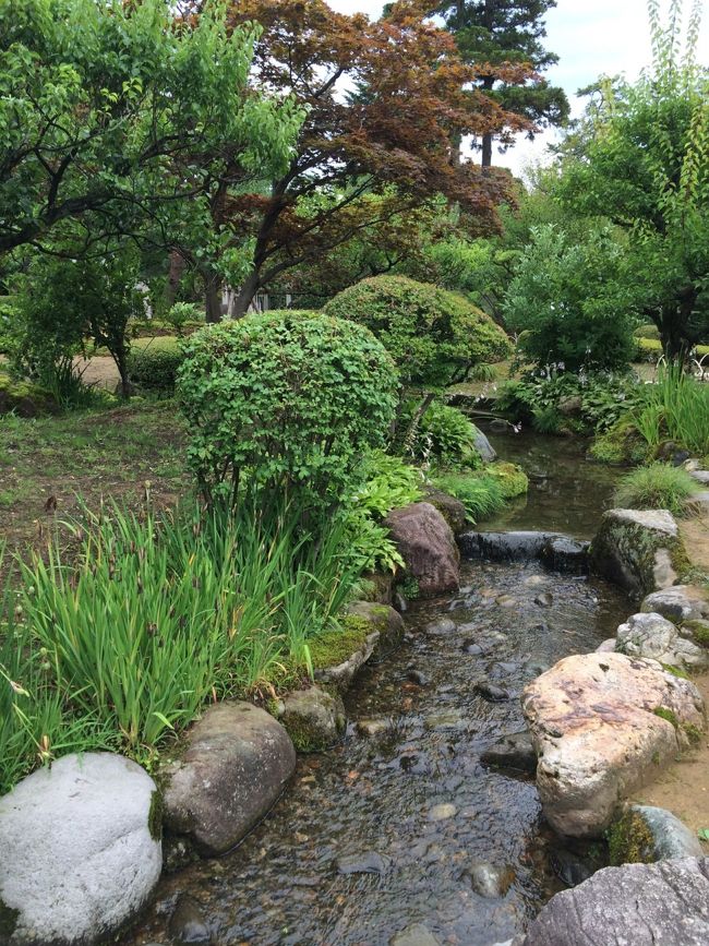 落ち着いた日本庭園。