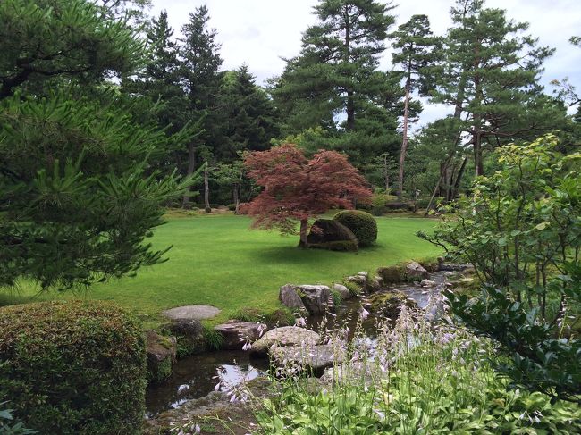 曇っているのが本当に残念。