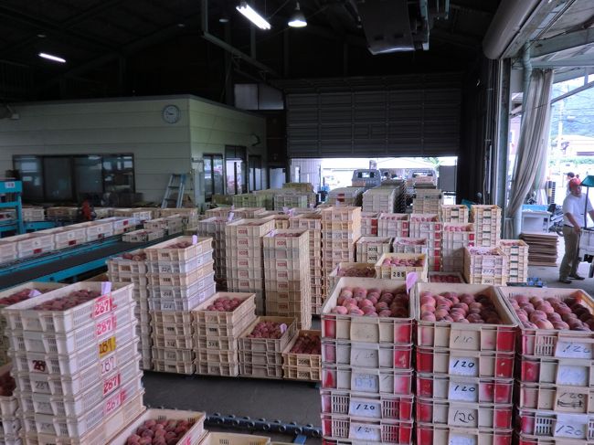 朝早くから生産者さんが軽トラで桃を持ち寄ります。