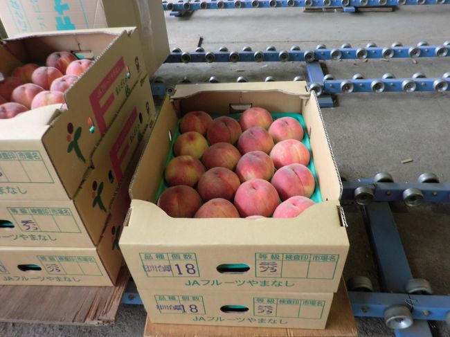 １箱５?単位で購入できます。大きさにより１２００〜１５００円という破格です。家族ご近所用に６箱購入。おまけも１０個近く頂きました。<br />また参加したいイベントでした。