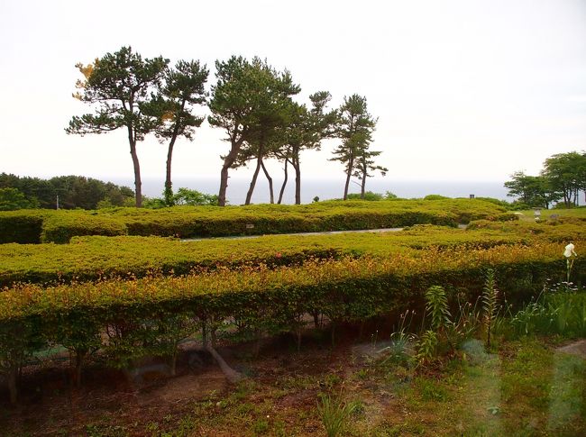 まだ明るくて早いから、誰もほかにいないの？<br /><br />窓側のテーブルなので、お庭と海が見えますが・・・ひとりだと、黙々と食べるしかないので、いつもは早食いの私・・・なるべくゆったり食べようと思うと、何となく・・・手持ち無沙汰で落ち着かない気持ち・・・。