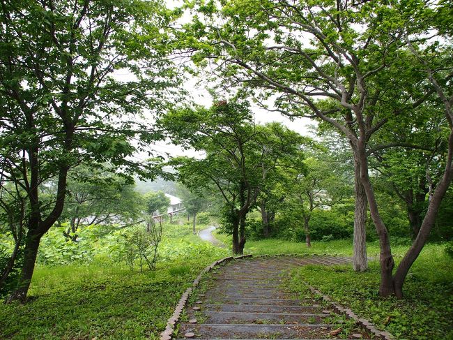 朝食帰りに、外のお天気の様子見がてら、裏からお庭に出てみます。<br /><br />昨日とはうってかわって・・・濃い霧がかかり、細か〜い雨が降っているみたいです。<br /><br />梅雨がここまで追いついてきたかな〜〜？