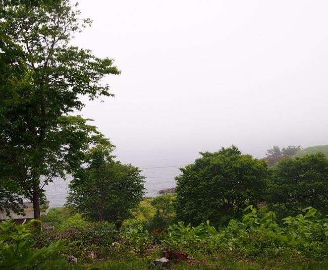 霧と霧雨で、目の前の海すらよく見えません。<br /><br />雨もだんだん粒が大きくなってきたし、部屋に戻ろう・・・。