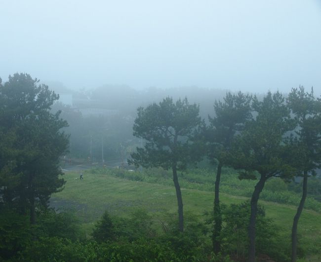 だんだんと霧も雨も風もひどくなってきたようです。