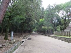 朝９時前、近鉄奈良駅に到着してみると、かなりの暑さ・・・。

とりあえず、春日大社参道の入り口まで、バスに乗ることにしました。
外周り循環で、２１０円です。

まだ早いので、参道もひとりじめ状態です(*^_^*)