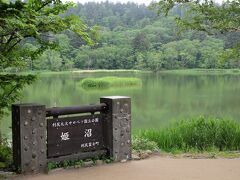 鴛泊フェリーターミナルから約５ｋｍ、原生林に囲まれた周囲８００ｍほどの静かな沼です。
沼の周りには３０分ほどで回れる遊歩道があり、野鳥の囀りを聞きながら散策することができます。

この沼の向こうに利尻富士があるのですが、いまだかつて山容を仰いだことがありません。

この日も、どんよりした雲は一向に晴れません。

