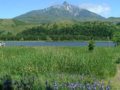 １４：４５　オタトマリ沼到着。

利尻島南部に位置し、島で最も大きな沼だと言われます。

アクセスがよく、土産物屋もあることから、いつも観光バスやマイカーでにぎわっています。
広々と視界が広がる明るい雰囲気の沼です。

晴れていれば、こんな風に利尻富士が見えます。
　　　　　　　　　　
　　　　　　　　　　　この写真は２００３．６．２８に訪れた時のものです。

