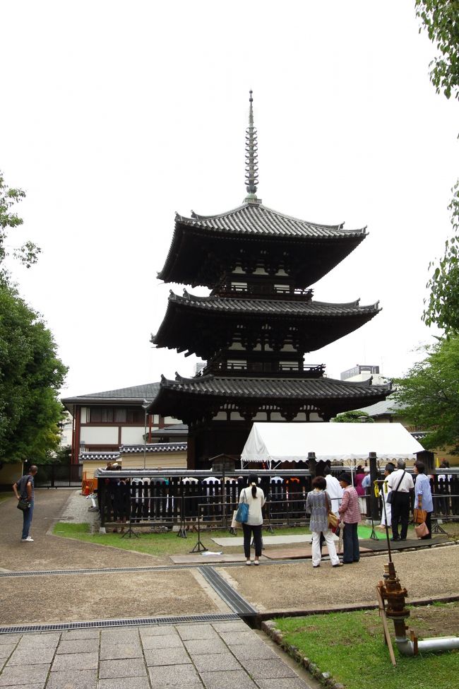 奈良入り直後。<br />目指したのはここ興福寺<br />三重塔の窪弁財天さまの御開帳