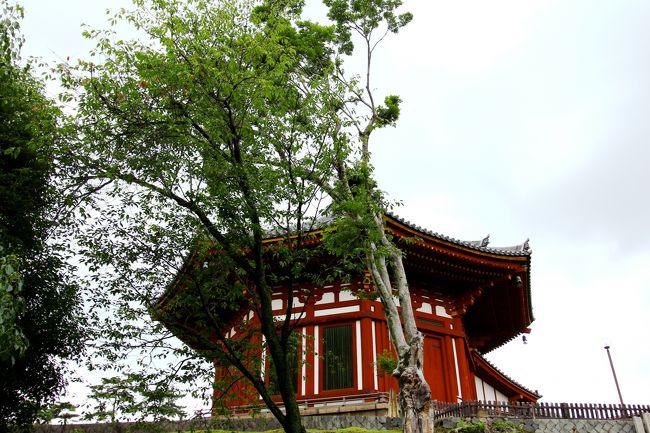 南円堂も眺めつつ・・・<br />歩いた