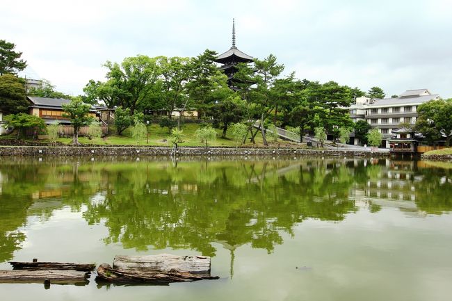 猿沢池<br />興福寺を後にして、時計と相談しつつ、とにかくベンチをキープと向かった。<br />何も考えず眺める。