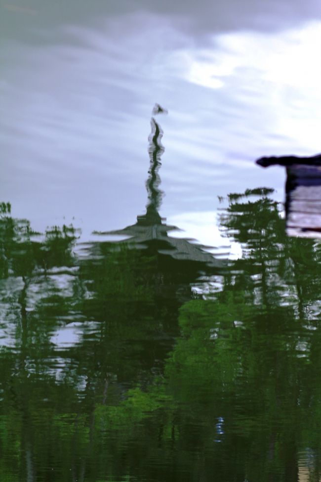 水面が遊んでくれた。<br />いじわるな風邪は止まない。(笑)<br />しかし、これも良い。。。