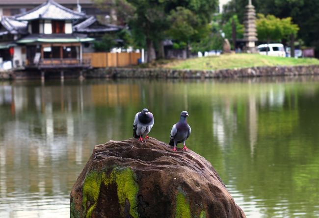 ポーズとってました。