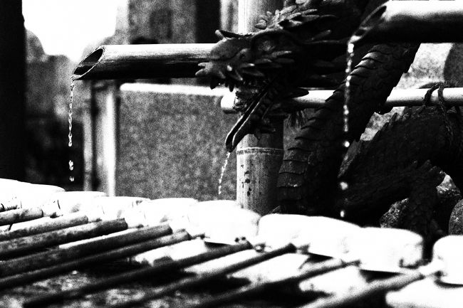 まずは手を清めようとした。<br />雨男には欠かせない龍神様のお出迎え。<br />朝から嬉しい。(^_-)-☆