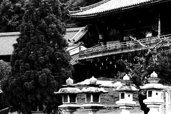 こちらで判るかなぁ〜<br />そう東大寺さんへ上がりました。