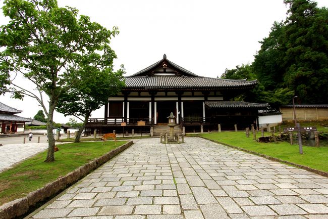 目指したのは戒壇堂<br />どうしても行きたかった・手を合わせたかった。<br />ミュージアム建設に伴い、並び変わったとの事で、自分の眼で拝見したかった。<br />何も考えず暫しの時を止めた。。。