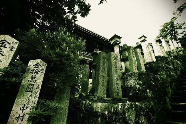 こんな横顔も拝見。