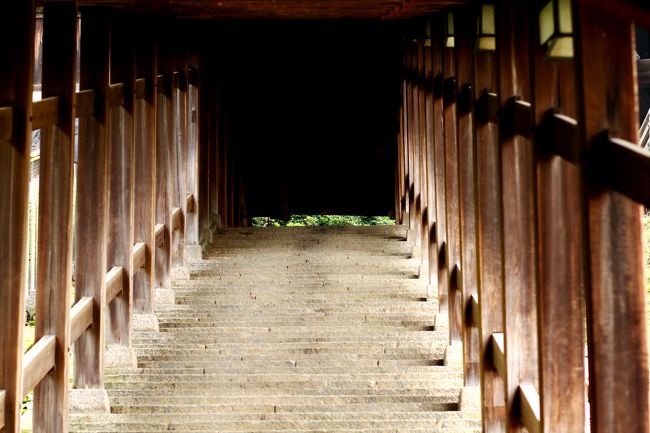 次回は上がります。。。