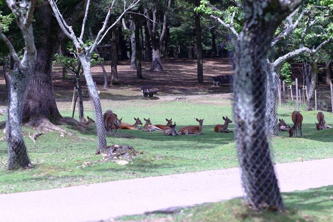 ひたすら歩く・・・<br />苦手なウォーキング(-_-;)<br /><br />呼ばれた集団。
