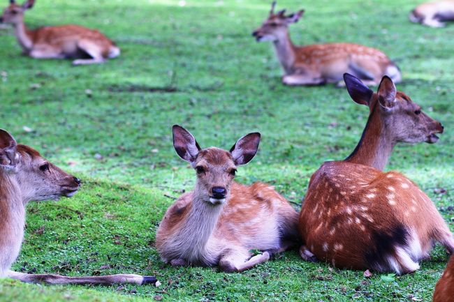 視線が合った。<br />チョット恥ずかしいかな。<br />