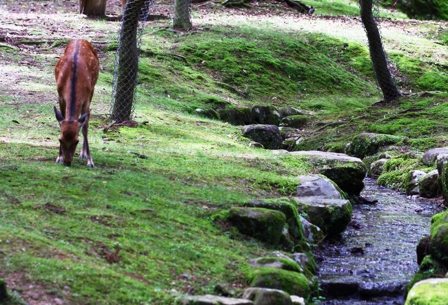 水辺の畔で一人ノンビリ派