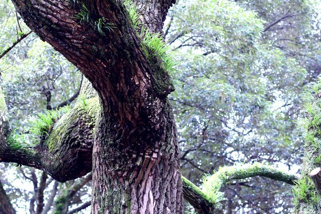 時を刻んでいた。