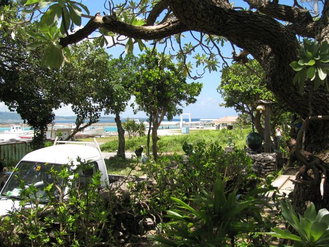 宿の庭からの眺め。