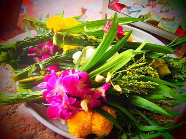 お供えをしました <br />このお花は何往復するのか なんて考えたらダメダメ