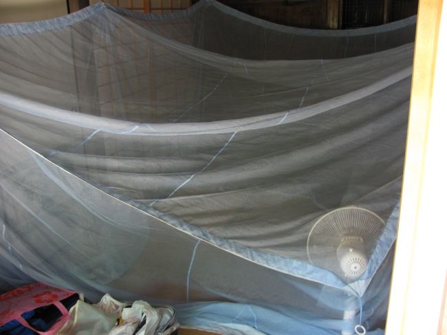 夜は蚊帳の中で寝ます。<br /><br />蚊帳なんて５年ぶりくらいかな〜