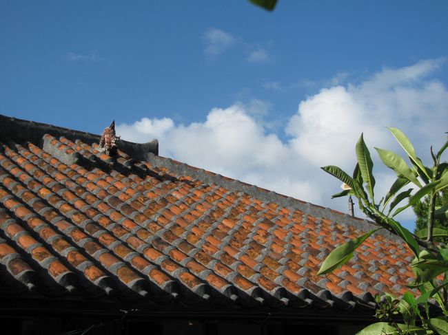 波照間島はとってもスローな時間の流れる島でした。
