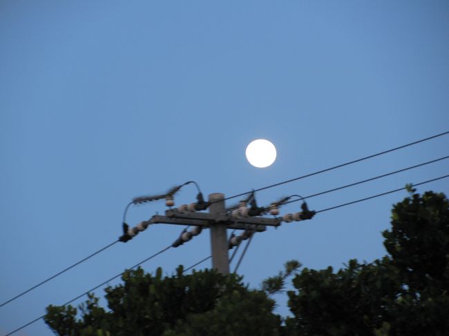 満月