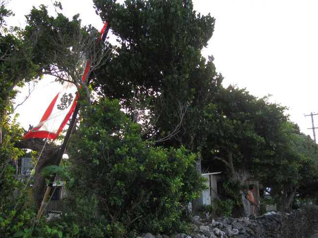 今日から祭りとの事で、島の人はその準備に当たってました。