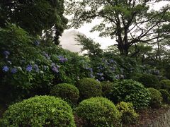 2日目。
夜中の大雨&雷に引き続き、雨模様。

朝食後、せっかくなので「御船山楽園」の庭園を散歩しました。
紫陽花や黄色い蓮が雨に濡れて新緑の中に映えてしっとりと綺麗です。
桜や藤、紅葉の季節にも来てみたいな。
